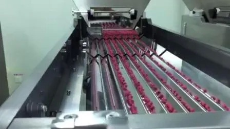 Υψηλής ταχύτητας 380V Φαρμακευτική γραμμή παραγωγής γεμίσματος μπουκαλιών με εγγύηση ενός έτους για μπουκάλια 60ml 80ml 100ml